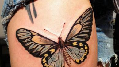 Татуировка бабочка Эскизы татуировок с бабочками и цветами